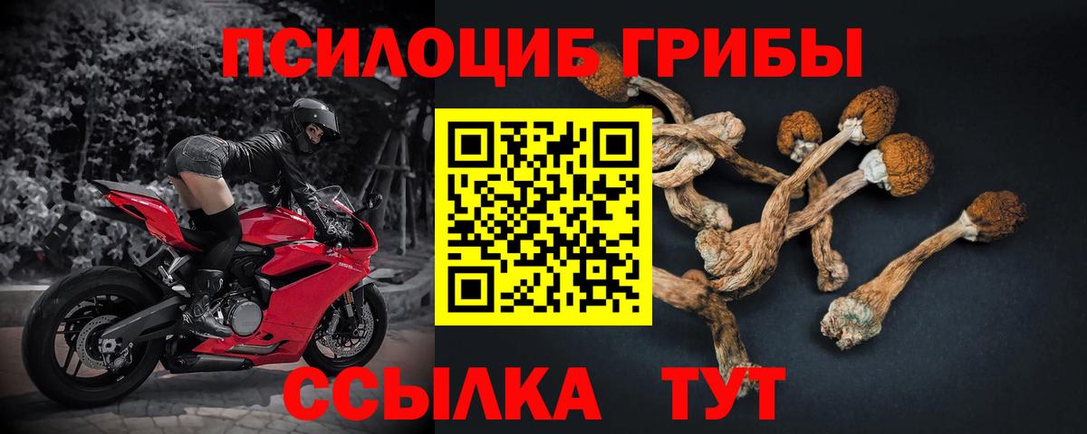 Псилоцибиновые грибы мухоморы Бийск