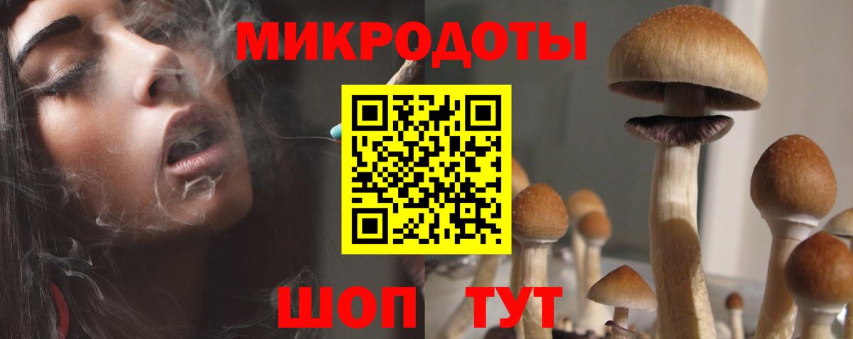 Галлюциногенные грибы мицелий  Вход с VPN  Бийск  Псилоцибиновые грибы Psilocybine cubensis 